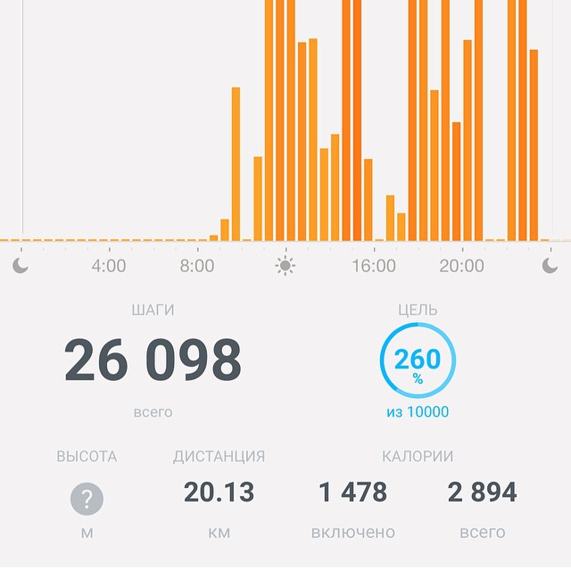Вчера был день-рекордсмен — 26 098 шагов!